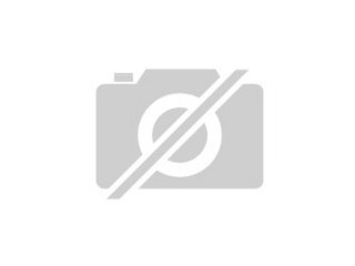 Suche alles an Freien Waffen